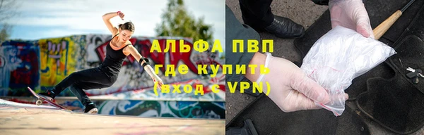 ПСИЛОЦИБИНОВЫЕ ГРИБЫ Няндома