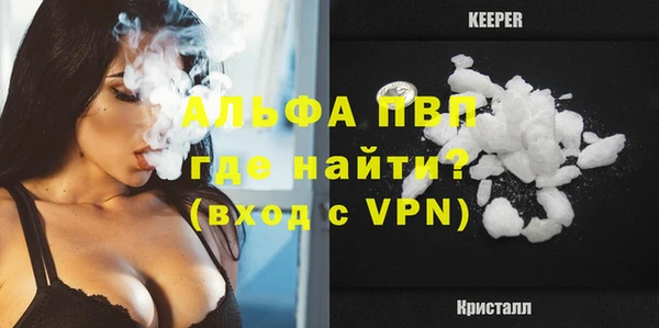 ПСИЛОЦИБИНОВЫЕ ГРИБЫ Няндома