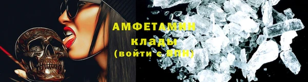 ПСИЛОЦИБИНОВЫЕ ГРИБЫ Няндома
