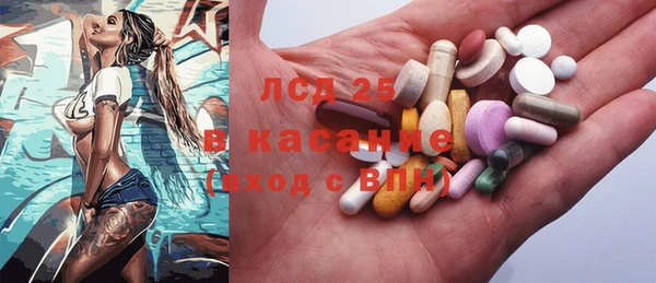 ПСИЛОЦИБИНОВЫЕ ГРИБЫ Няндома