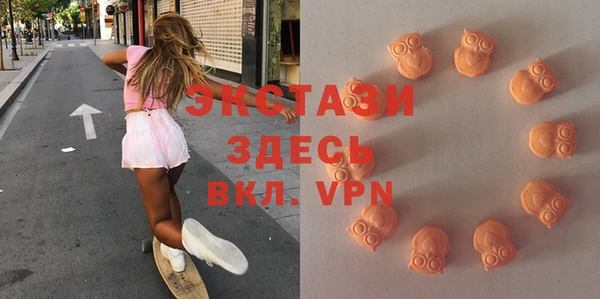 ПСИЛОЦИБИНОВЫЕ ГРИБЫ Няндома