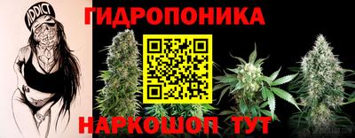 наркотики Кандалакша