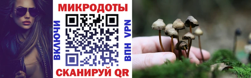 мега вход  купить  цена  Чита  Псилоцибиновые грибы ЛСД 