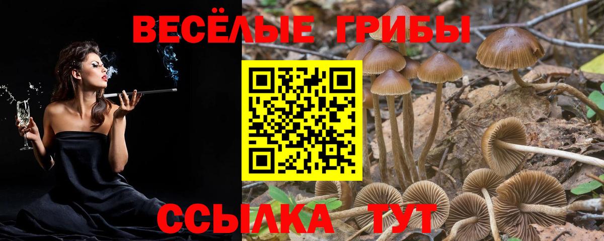 Чита  Псилоцибиновые грибы Psilocybine cubensis  Псилоцибиновые грибы Magic Shrooms  Вход с VPN 
